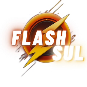 Flash co