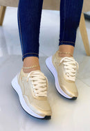 Tenis Gucci Clásicos